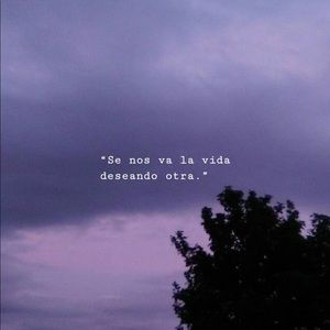 Meet your Posher, Albany